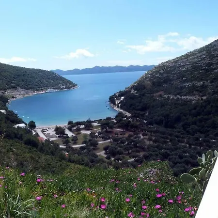 Josip Ii Διαμέρισμα *