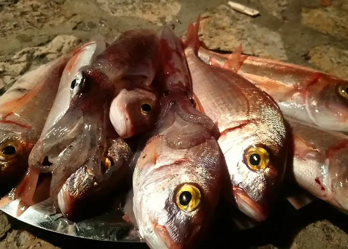 Josip Ii Apartamento